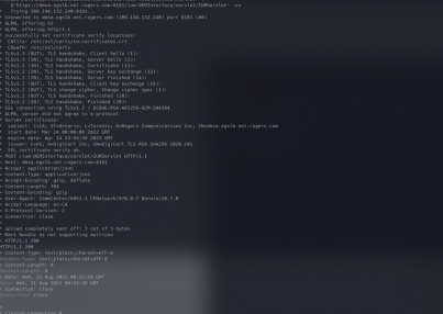 curl-weird-request.webp