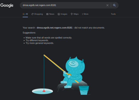 dmsa-rogers-google-no-results.webp